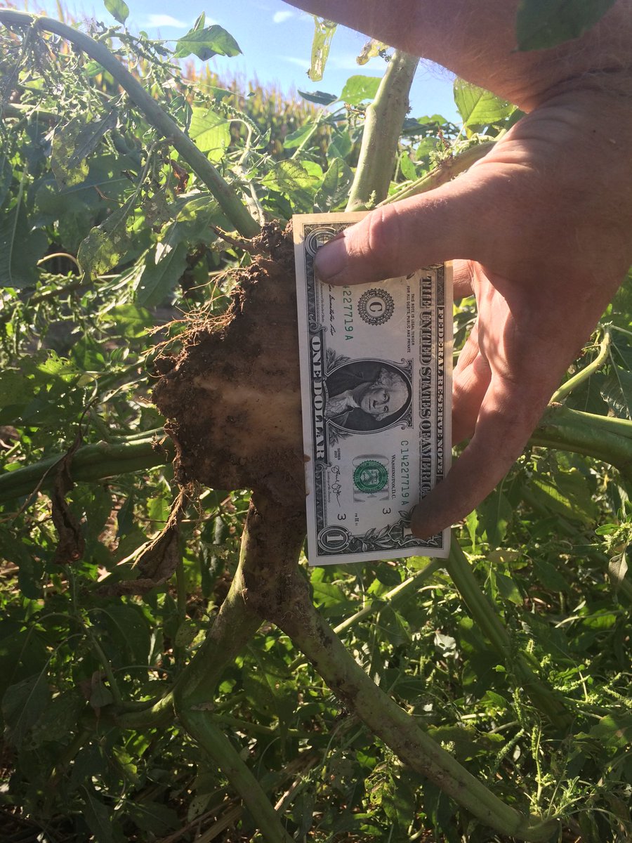 FarmerJoey37's tweet photo. @NDSUWeeds Tradition continued! https://t.co/fuLCMo9UiW