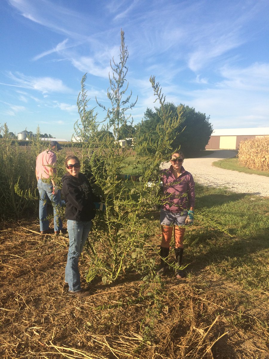 FarmerJoey37's tweet photo. @NDSUWeeds Tradition continued! https://t.co/fuLCMo9UiW
