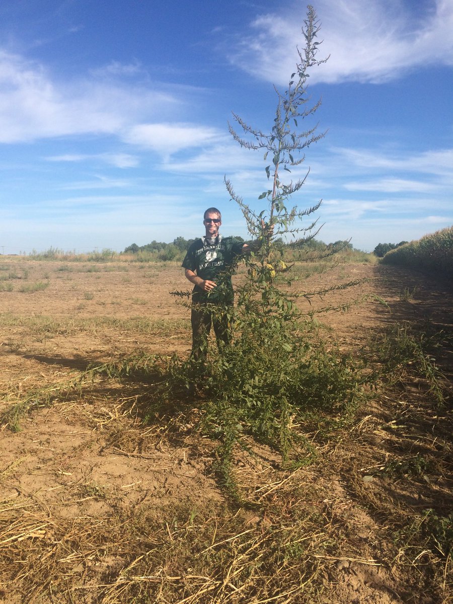 FarmerJoey37's tweet photo. @NDSUWeeds Tradition continued! https://t.co/fuLCMo9UiW