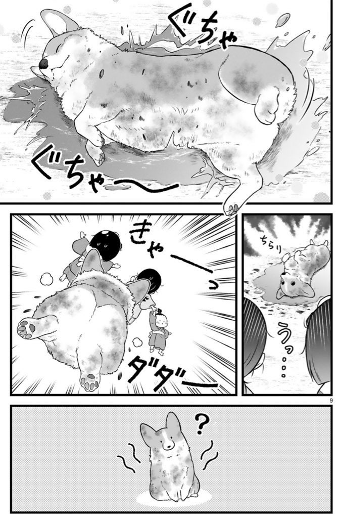 🐶 好評発売中 ポラコミ 🐶
新作①巻登場❣️
ムッチリほがらかな【犬】と
顔が怖い(本当は優しい)【武士】
天下泰平⭐︎主従暮らしコメディ
『殿と犬(とのといぬ)』第1巻
西田理英
https://t.co/UOTdg6lvGW
👉Amazon
https://t.co/JTco8iENrl