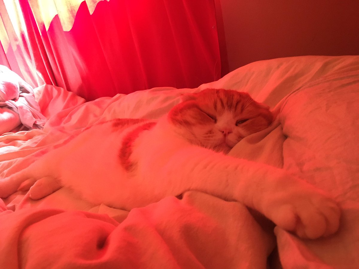 aktrbb's tweet image. 