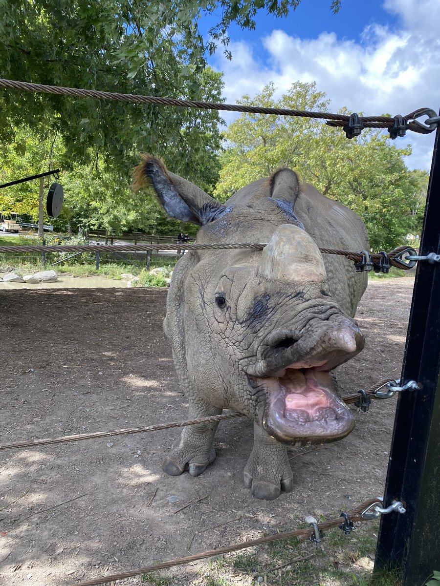 Morgan Dedato tweet media