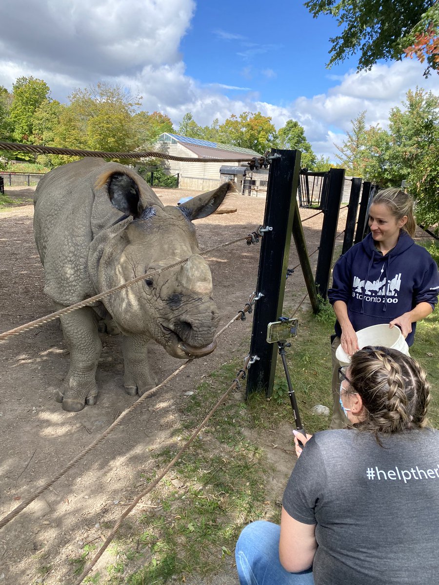 Morgan Dedato tweet media