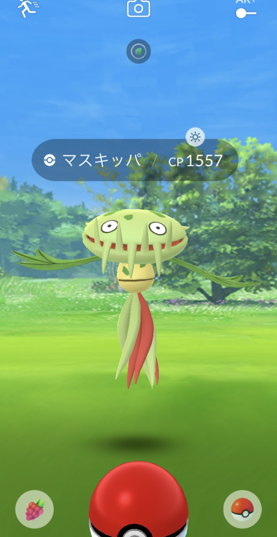 味噌汁 マスキッパちゃーん シュシュプ色違い ポケモンgo Safarizone コヤン T Co Djsykaklfj Twitter