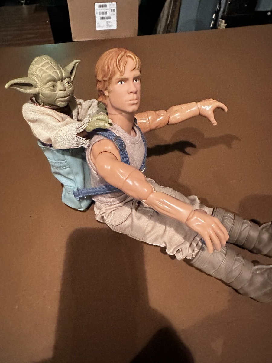 Dr.X-Wildcat tweet media