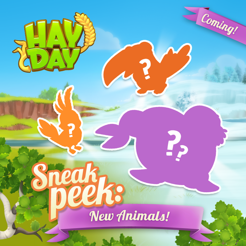 hayday's tweet photo. Hello farmers, soon you will have new animal friends to welcome on your farm and sanctuary. Can you guess what they are? 🤔 #HayDay https://t.co/pQVaXejAdA