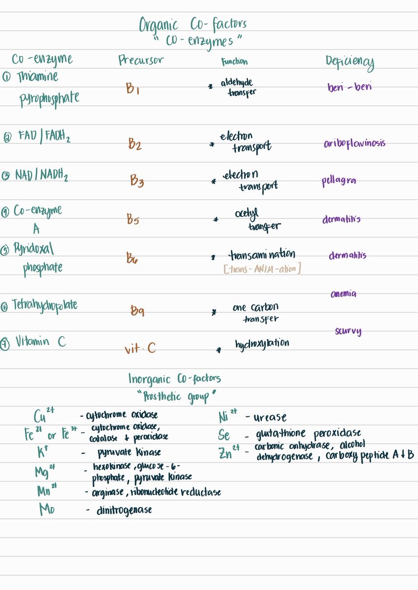 svtfrph's tweet photo. Biochemistry Quick Notes

ps. feel free to correct my mistakes (wrong info) para ma-ayos before BE. ☺️ please don't bash my handwriting hehe <3 https://t.co/z4T29INuRn