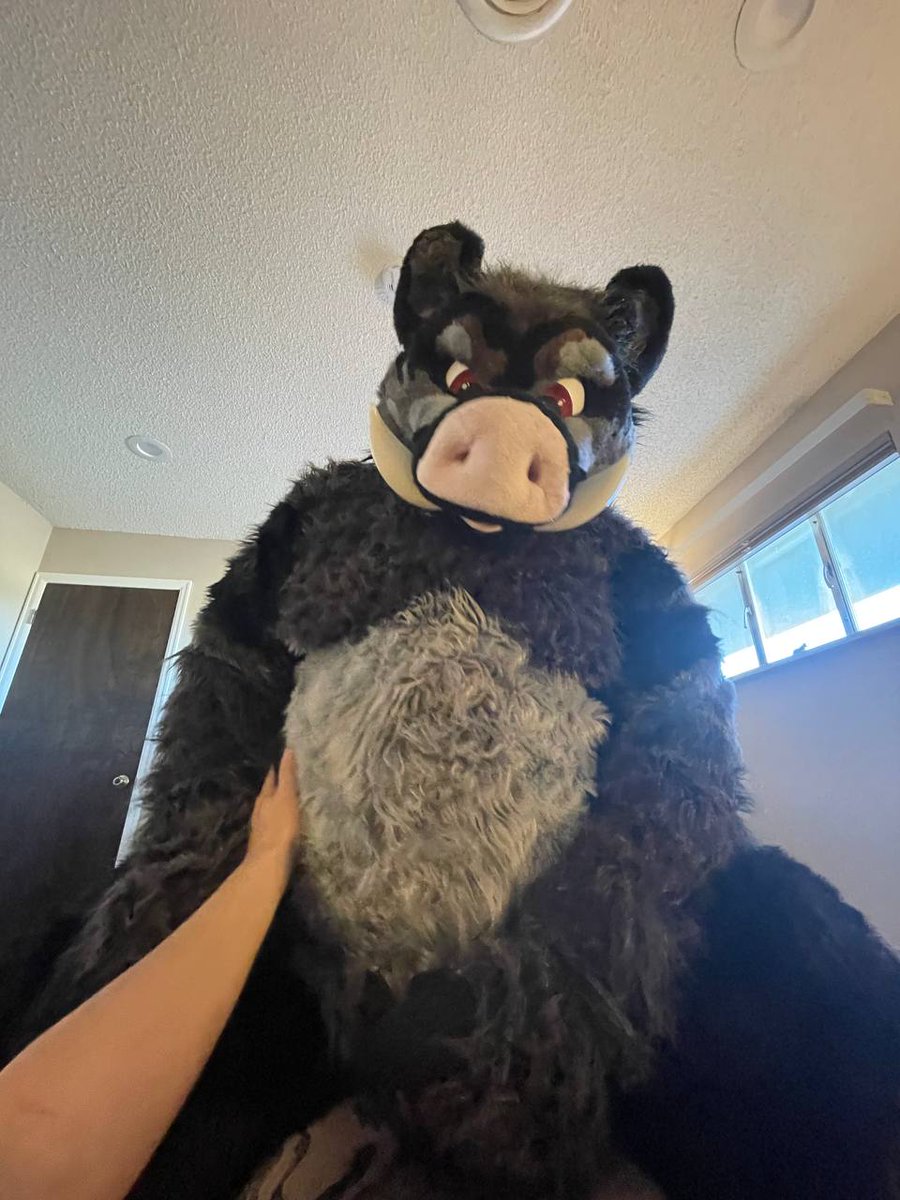 That's a whole a$$ Boar!!! tweet media