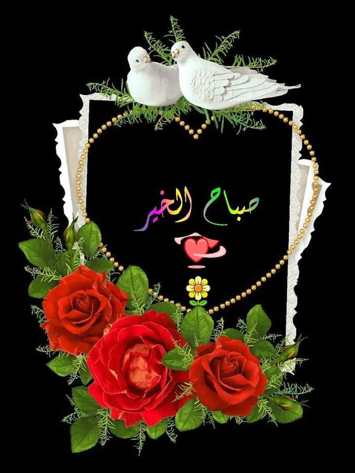 علي أبو وضاح المحوفي (@troylx123) on Twitter photo 