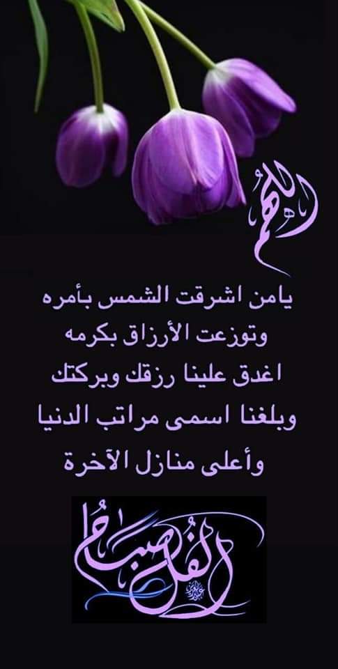 علي أبو وضاح المحوفي (@troylx123) on Twitter photo 