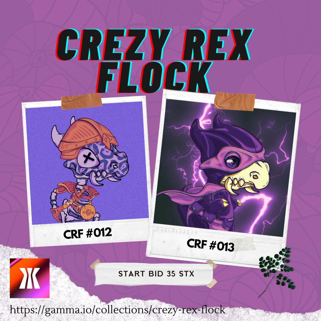CrazyRexFlock's tweet photo. 🏮LIVE AUCTION 🏮
On @trygamma

- Reverse price 35 $STX
- Duration 12 hours

🎗️ CRF #012 : https://t.co/cpYAApJDdr

🎗️ CRF #013 : https://t.co/wzZPVo1Sq9

Let's gooo 🔥🔥🔥
#STX #BTC #trygamma #stackchain #Gamma #NFTs #gammafams https://t.co/emEKN7rKtm