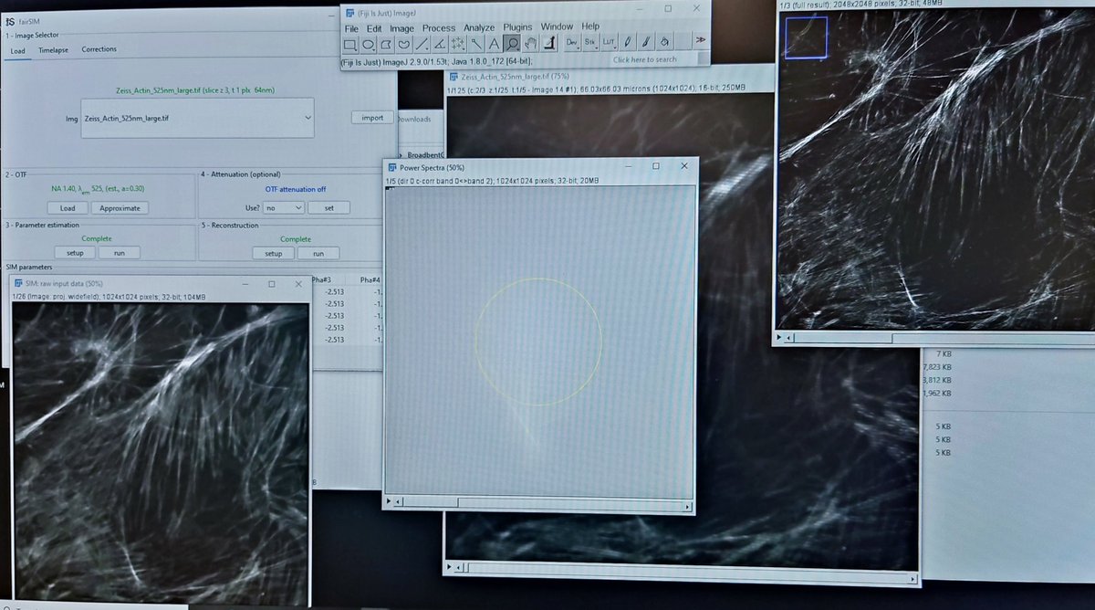 michal_gdula's tweet photo. Reconstructing SIM data: #fairSIM in action - amazing crash course led by its creator @mueller_physics during #micronsim2022! https://t.co/MxRKamy3zd