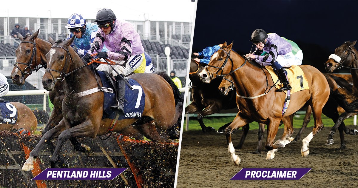 Today sees the return of two superstars! ⭐️ Proclaimer (2:05, Haydock) has won 8 times for his owners already. Pentland Hills (4:25, Haydock) is a dual Grade 1 winner who hasn't run since March 2020. A very exciting day to see these two back 🥰 #OwnersGroup