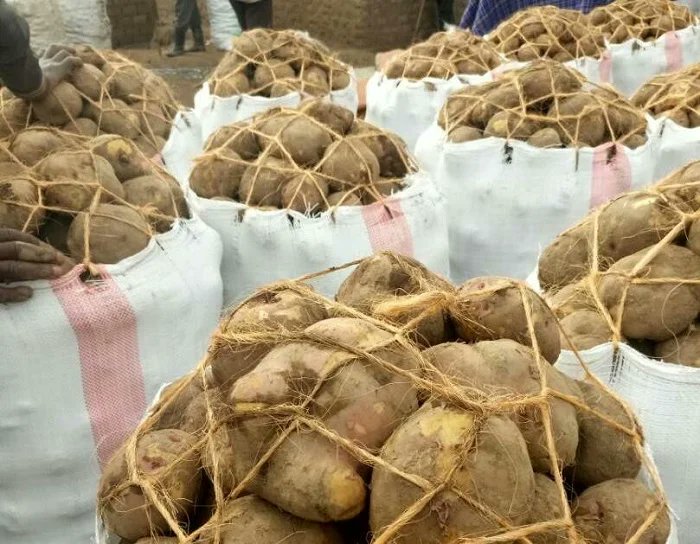 Can you help a farmer from <a href="/NyagatareDistr/">Nyagatare District</a>/ Rwempasha sector to find a buyer of his 4Tones of Potatoes (Kinigi) at 400Rwf/Kg? 
Kindly visit ehaho.rw/product/805 for more details. 

Call or WhatsApp us at (+250)786506040 for further help.