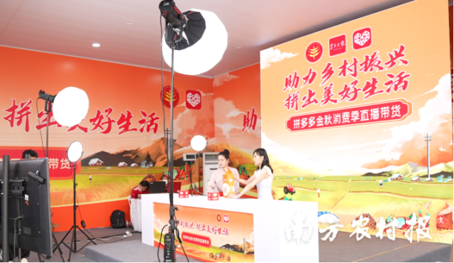 iGuangdong's tweet photo. 🌽🌾 Sept 23 marks China's fifth farmers' #harvest festival. Activities featuring farming culture, livestreams to promote local agriculture products and food carnivals are taking place across #Guangdong. 
👏📸 Let's immerse ourselves in the joy of harvest! #GDupdates #OnlyInGD https://t.co/29anvtAfQa