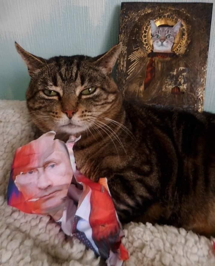 Чарли аккуратно намекает нам что пора делать
#НетВойне #КотикиПротивВойны