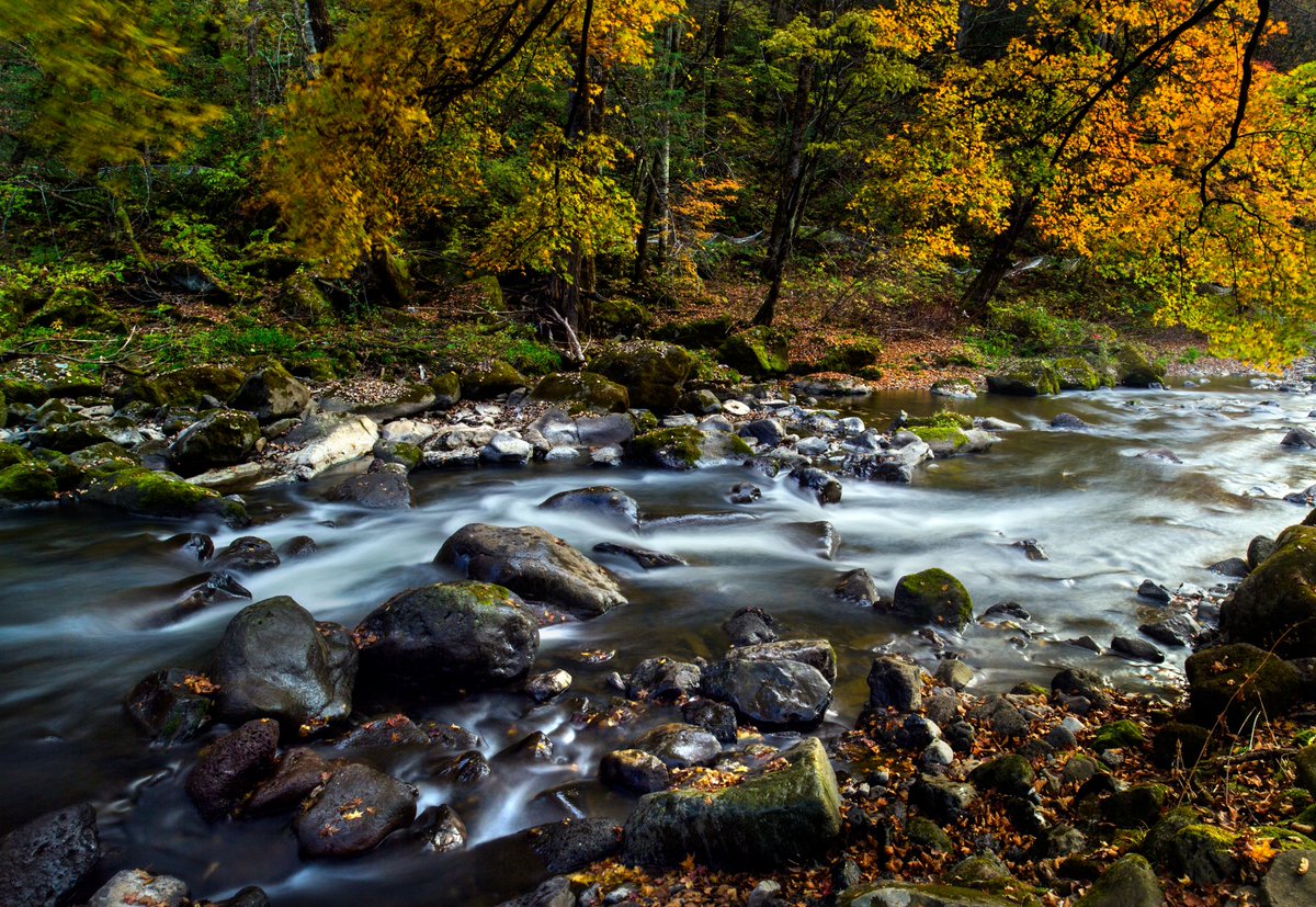 JilinChina's tweet photo. Dynamic decade: #Jilin is making great strides in creating a "Jilin mode" for the development of a Beautiful China, with the province's #ecosystem and #environment having achieved remarkable results over the past decade β and continues to do so. #JilinDynamicDecade https://t.co/tyKrRYO4dT