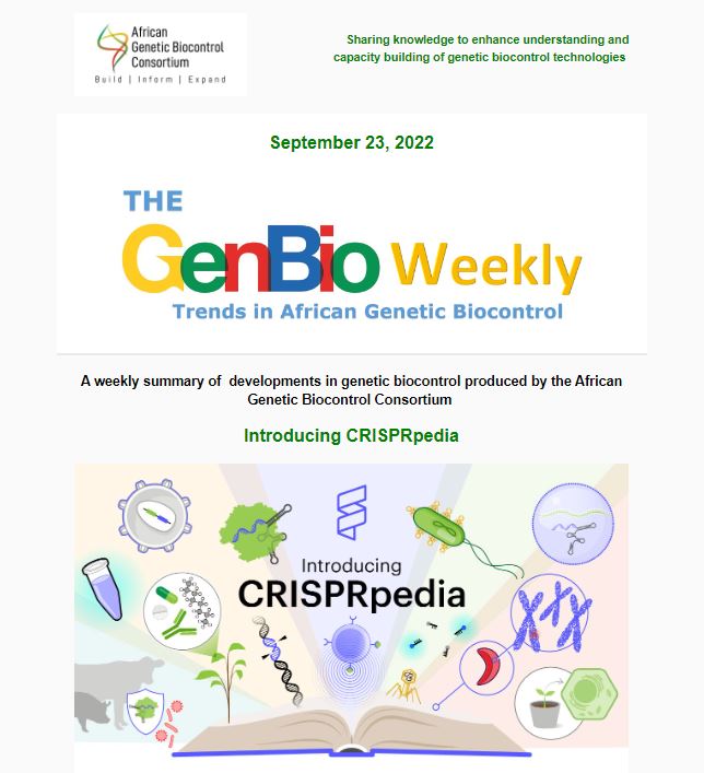 AfricaGeneBio's tweet photo. Get updated with the latest developments in genetic biocontrol by reading and subscribing to our latest weekly newsletter that comes out every Friday. 

View newsletter: https://t.co/N1582X09Wl

Subscription link: https://t.co/6gjUiNqk9s 

#GenBioWeekly https://t.co/XEfjO2dDVl