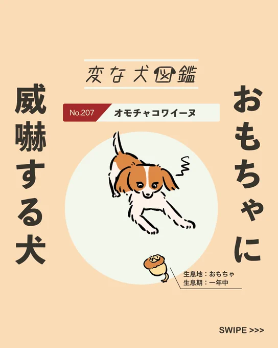 【#変な犬図鑑】
No.207 オモチャコワイーヌ
おもちゃに威嚇するあの犬です。 