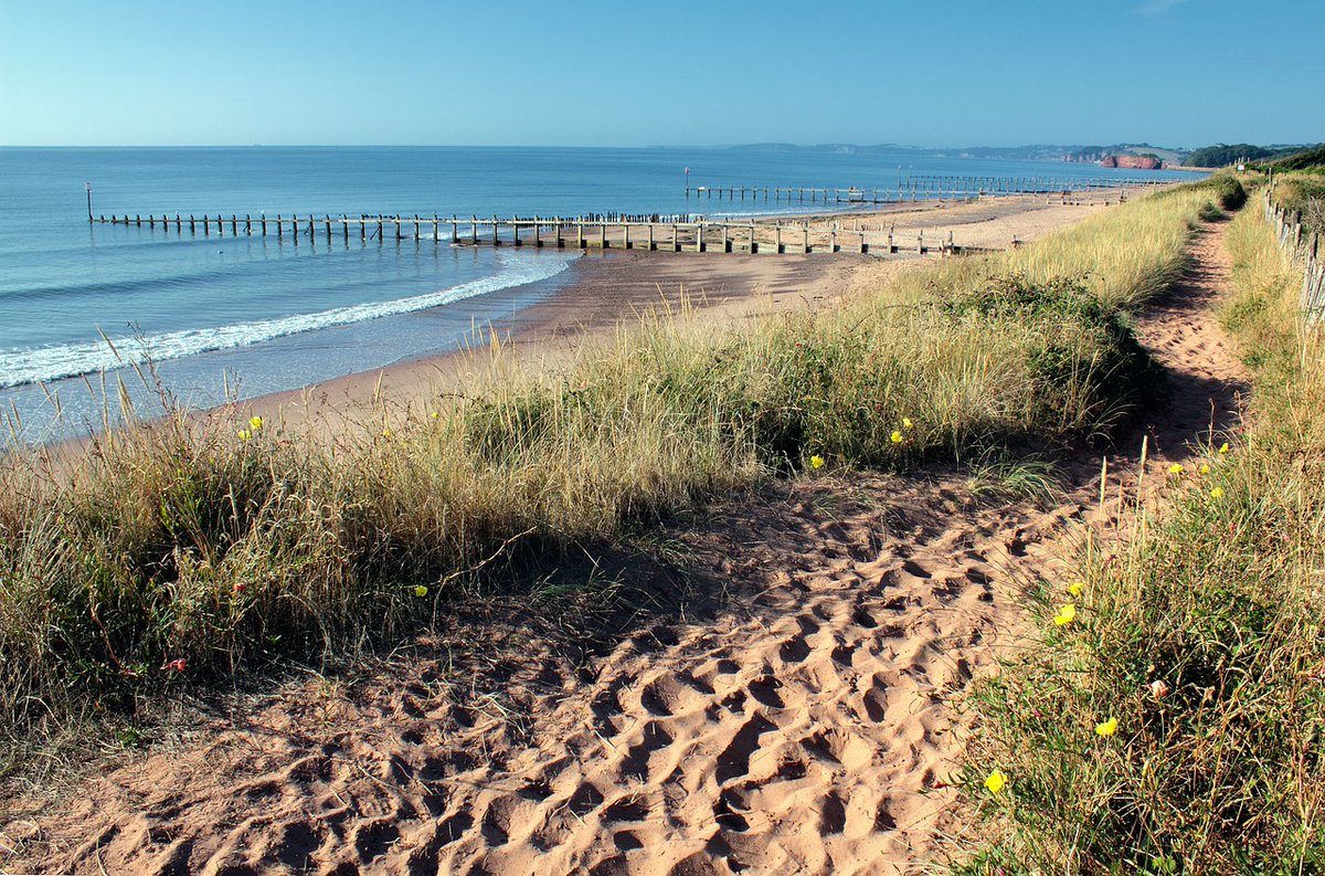 dawlishwalk's tweet photo. Join us on the first walk of the Dawlish Walking Festival at 10.30am on Saturday 24th September at the entrance to Oakcliff Holiday Park. It will be led by the Teignbridge Rangers down at the Nature Reserve. Free but pre-book 07999 218216.  https://t.co/Nku0CSeDH5 https://t.co/HrjIGOcLRi