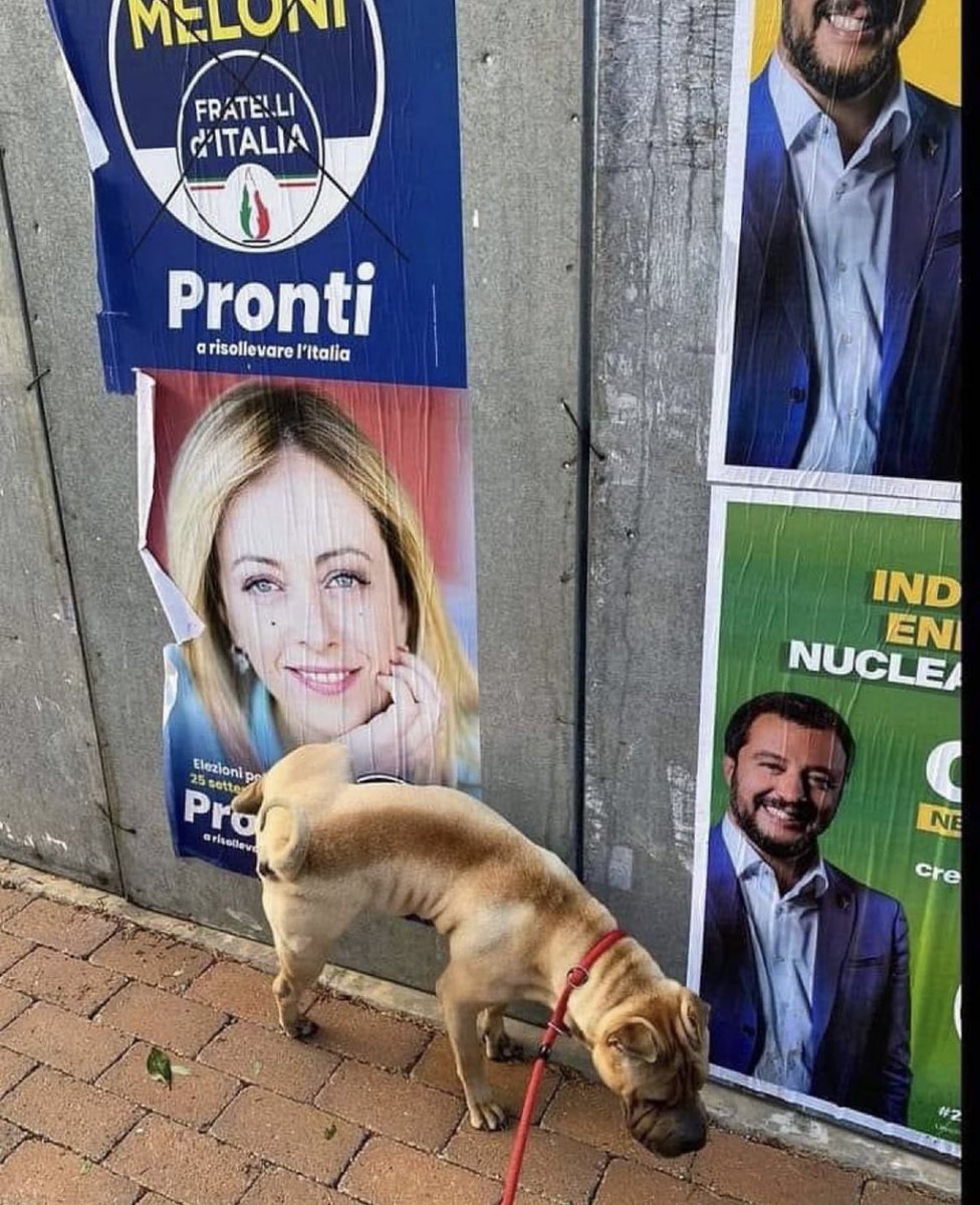 Pausa pipì meritata