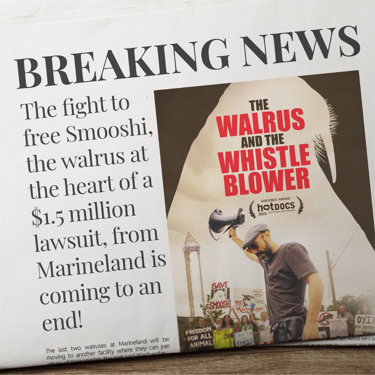 iwonderHQ's tweet photo. Marineland announced that it has reached an agreement with Phil Demers, a former trainer-turned-activist, whom the park had previously sued for $1.5 million. Their saga is told in the HotDocs award-winning documentary, the Walrus and the Whistleblower, now on iwonder.#savesmooshi https://t.co/SZZuGrbaLm