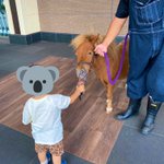 ツイートに含まれる画像