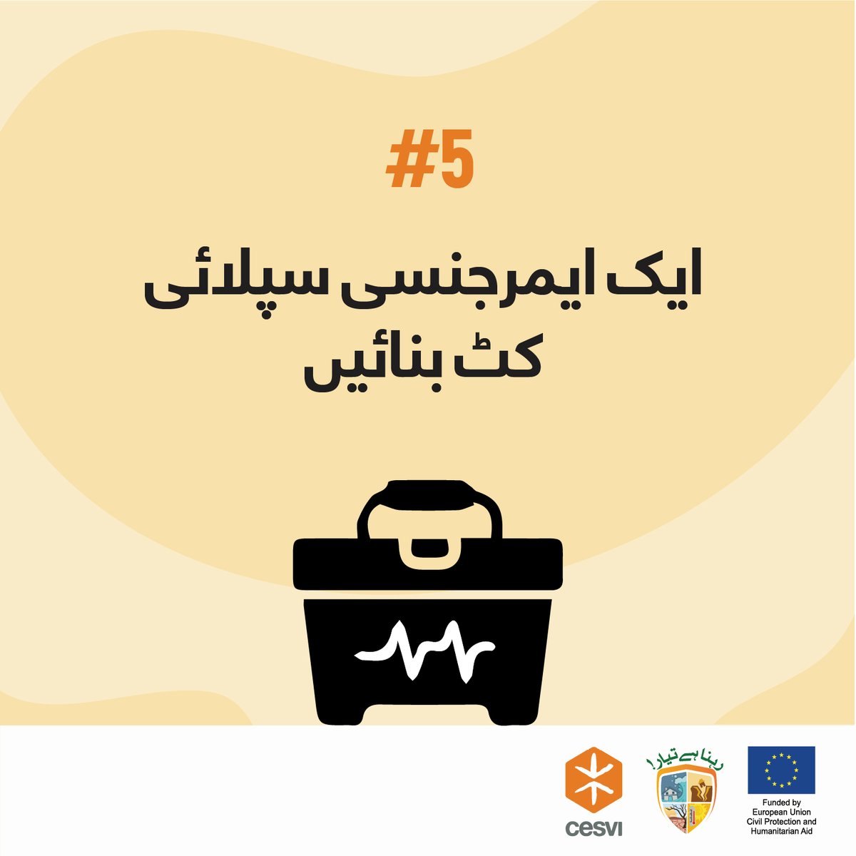 CesviPakistan's tweet photo. https://t.co/lkbl1bIasX