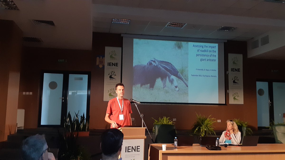 Today <a href="/Fernucht/">Fernando Ascensão</a> presented at #IENE2022 conference at #Clujnapoca #Romania his research on giant anteater #roadecology and popultion persistence with <a href="/giantarmadillos/">Arnaud Desbiez</a> and other colleagues