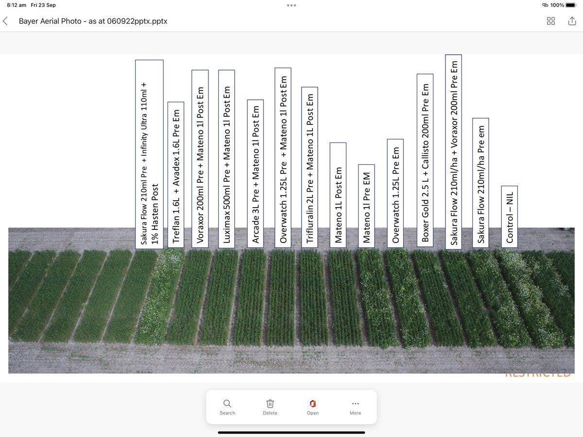 Mitch Tuffley tweet media