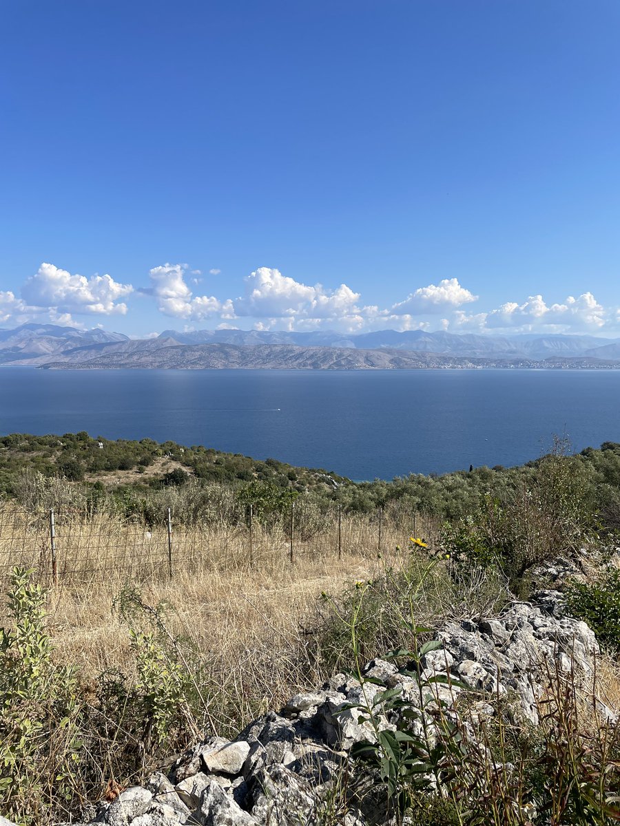 Mandy Baggot 🇬🇷🎄 tweet media