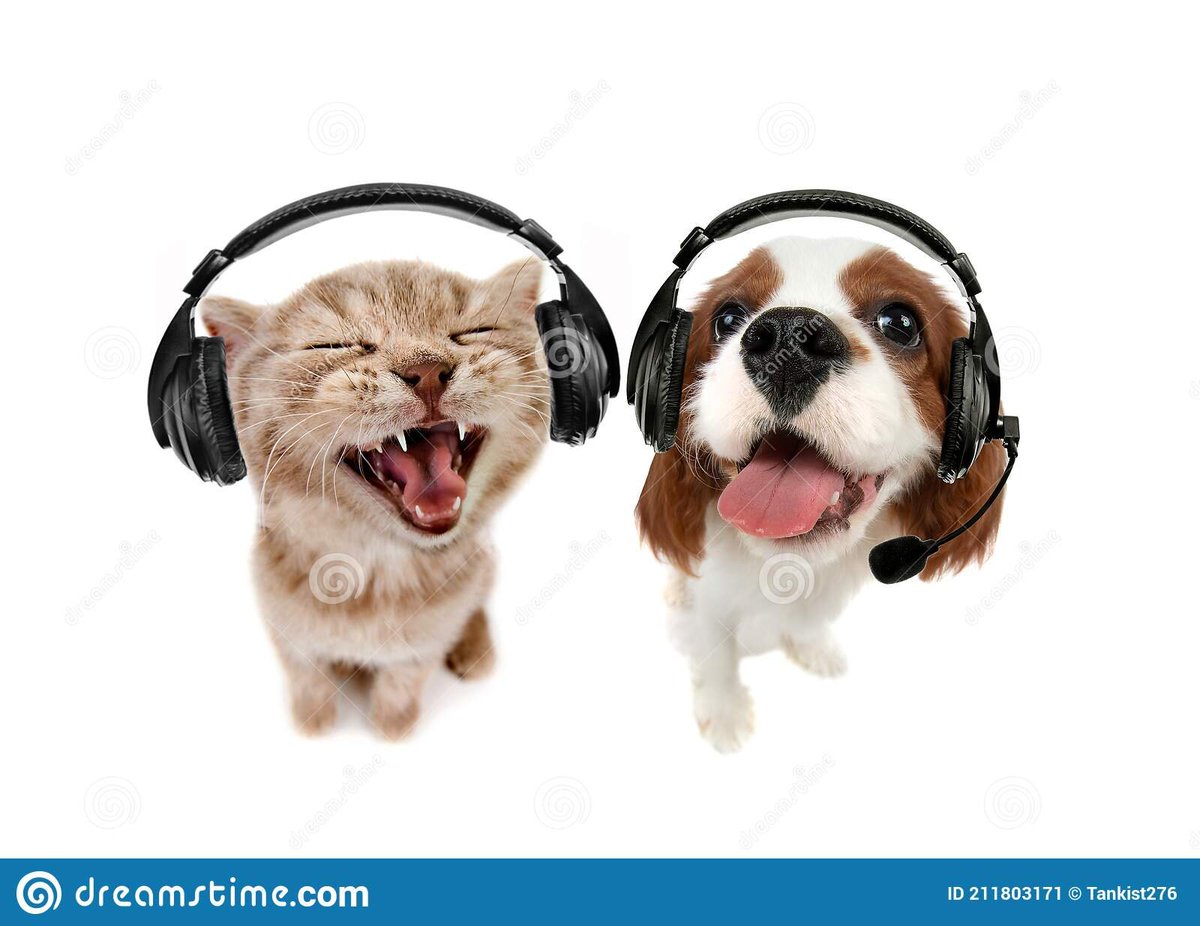 Pretty much confirmed for bcx so I'm looking for a teammate 🥺, discord is Dummy#9609 

Retweets appreciated