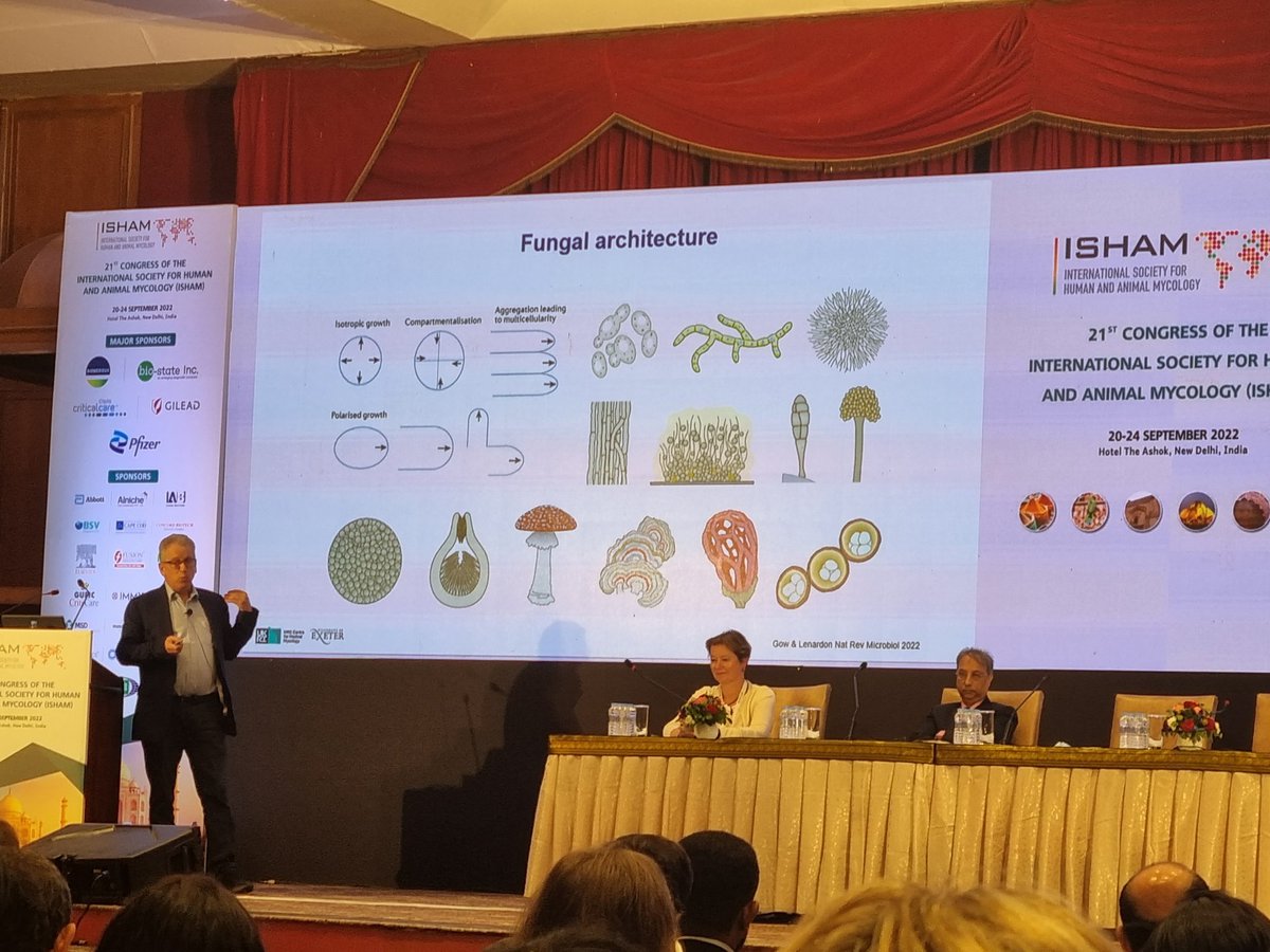 RosanneSprute's tweet photo. Brilliant keynote lecture by @neil_gow on the fungal cell wall "Banging our head against the (fungal) wall" @ISHAM_Mycology #ISHAM2022 @ExeterMicrobes @BritSocMedMyc @MRCcmm @Adilia76645023 https://t.co/d4VzY1KL2E