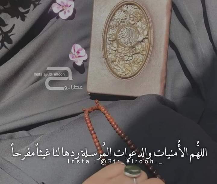 کله چې قرآن کریم📖
د خپل ژوند تګلاره وټاکئ!😍
هیڅکله به لاره غلطه نه کړئ.💞
#قرآن_كريم