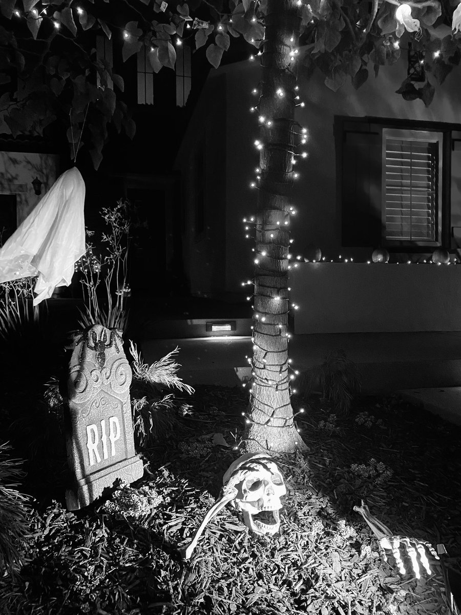 Alika Tanaka Yarnell tweet media