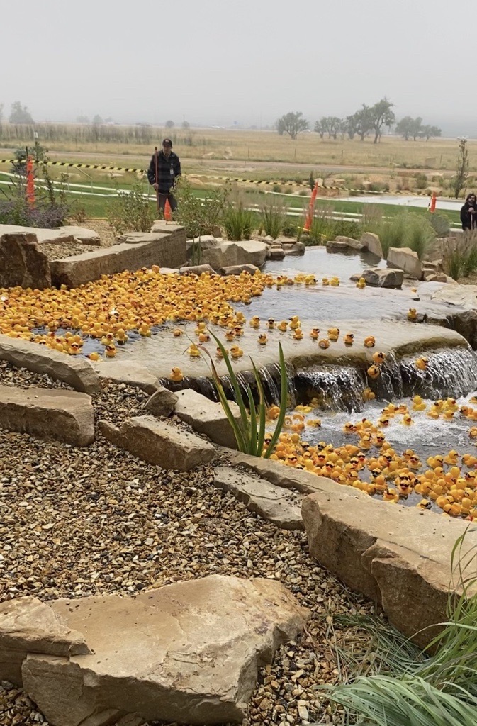 Ent_CU's tweet photo. Today was the first Ent Ducky Derby fundraiser!! As a team, we raised almost $7,000 for the communities we serve ❤️ 

#TeamEnt #CUDifference https://t.co/z6lHXHFuFP