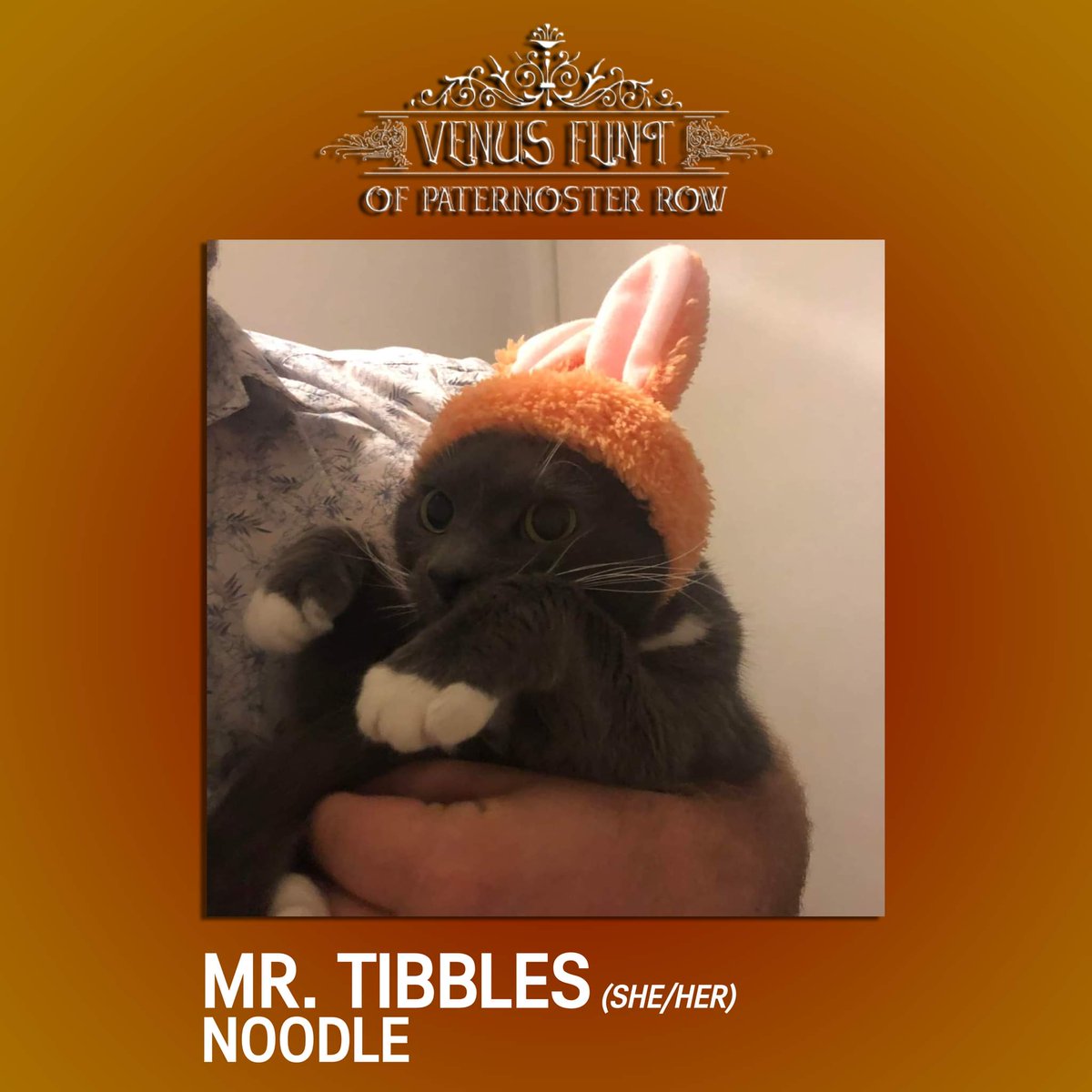 FoxholeFilms's tweet photo. You know her! You love her! She's playing everyone's favorite feline war criminal! Noodle will be playing the infamous Mr. Tibbles in Venus Flint of Paternoster Row! A cast member so important, she got her own post all to herself! https://t.co/cASm7iMikc