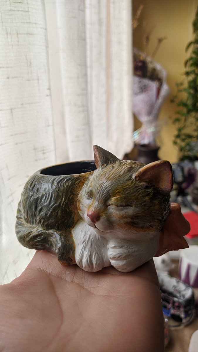 Mandirena_'s tweet photo. Gatitos personalizados para suculentas o cactus 🌵.
Con entrega de 5 a 7 días hábiles 🤗
Envío a todo #Chile 🇨🇱 
#Temuco https://t.co/4TEwiFDPUY