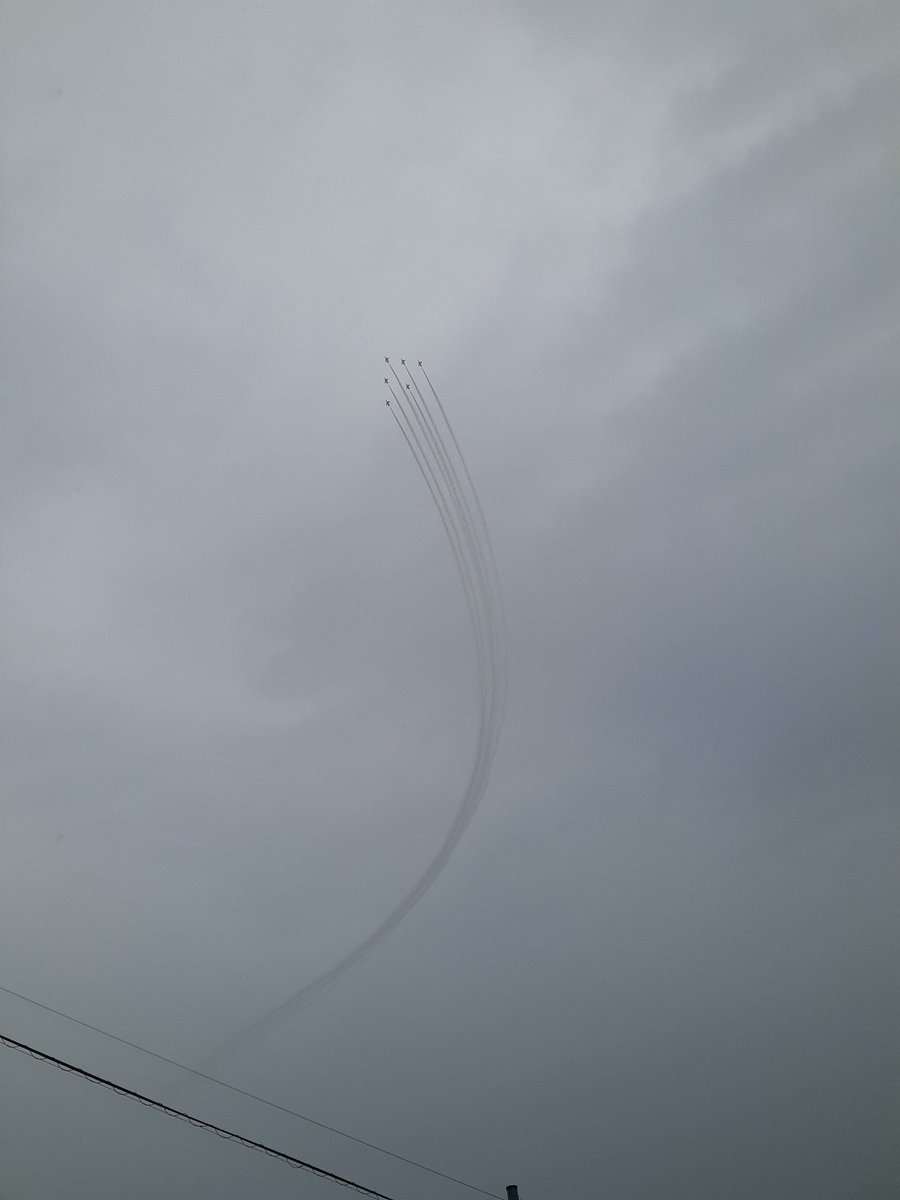 ゴリラ・ゴリラゴリラ tweet media