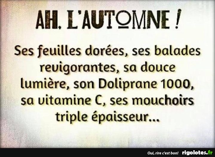 POCHAT- CASTEL (@castelpochat) on Twitter photo 