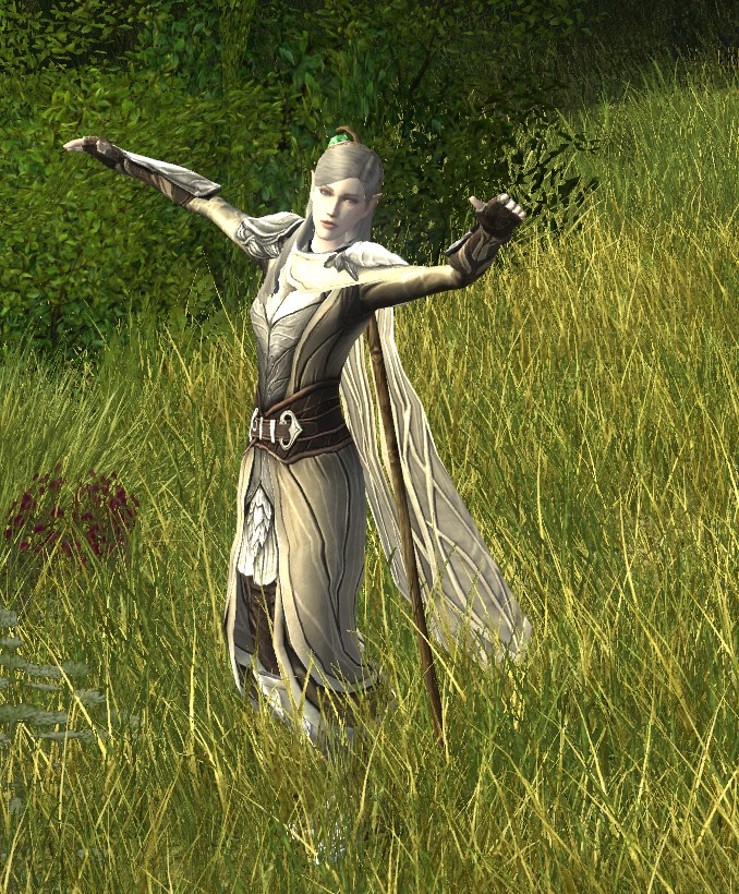 LotroJozie's tweet photo. Supporting The Lord of the Rings Online with a purchase of the new expansion #BeforetheShadow Love the new cosmetics and Elf Dance.
@lotro @lotrofamily https://t.co/lUgqfrKwzj