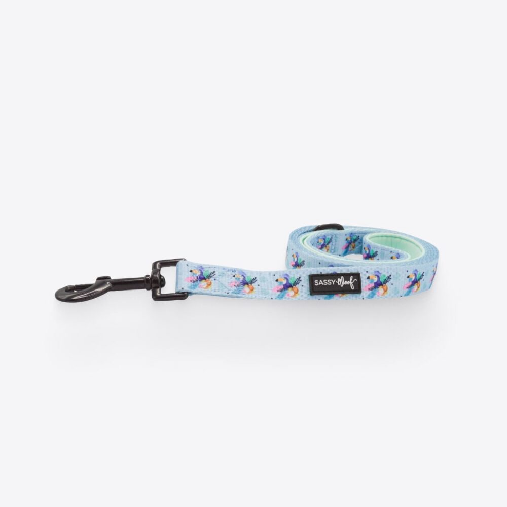 Wellhealthywise's tweet photo. #cats #petstore Tropicana' Dog Fabric Leash https://t.co/n8jzSimUZE https://t.co/WfvDapiYkD