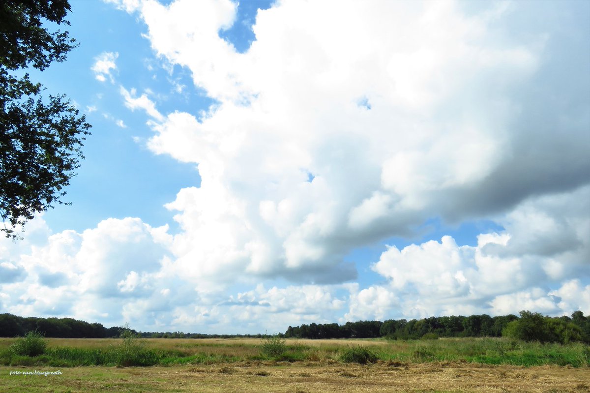 Margreeth0_0's tweet photo. @BugsOfArt Clouds in Netherlands 🙂 https://t.co/zYP9YyToCg