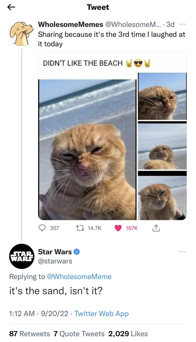 Whoever is running the <a href="/starwars/">Star Wars</a> Twitter account needs a raise. 🤣