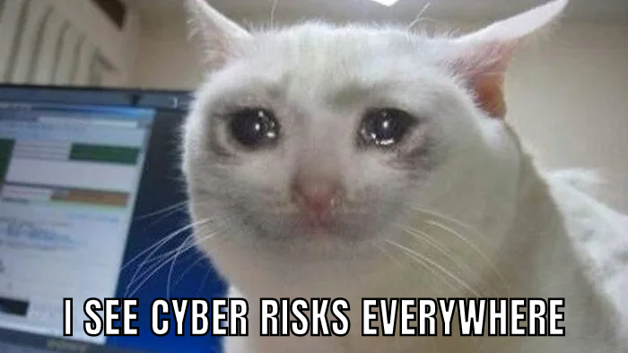 SkillSpar's tweet photo. After studying Cybersecurity Awareness:

#SkillSpar #SecurityAwareness #meme #cyber #Cybersecurite #CyberSecurityAwareness #risks #riskmanagement #cat #CatMeme https://t.co/hrVqKb84CQ
