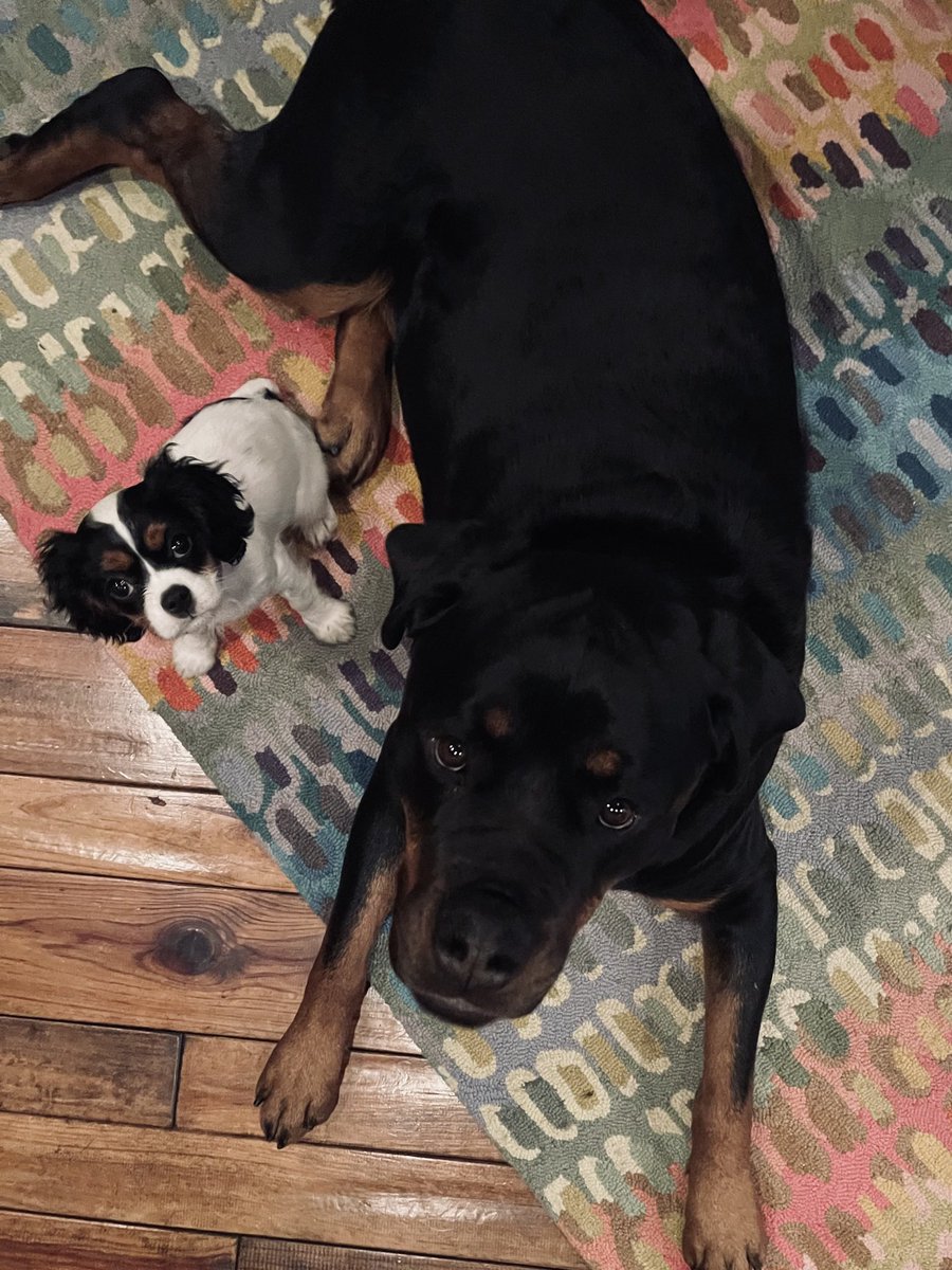 Murray Decock tweet media