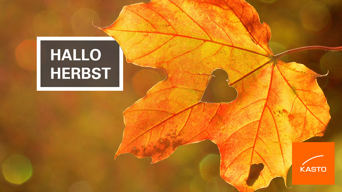 KASTOGmbH's tweet photo. Jede Jahreszeit hat seinen Charme. #KASTO selbst ist durch seine Firmenfarbe, ein kräftiges ausdrucksstarkes #Orange, mit dem #Herbst verbunden.
Wir möchten ihn mit all seinen Facetten willkommen heißen und freuen uns auf schöne Herbsttage, mit all der #Farbenpracht. https://t.co/U6PkU3pcq9