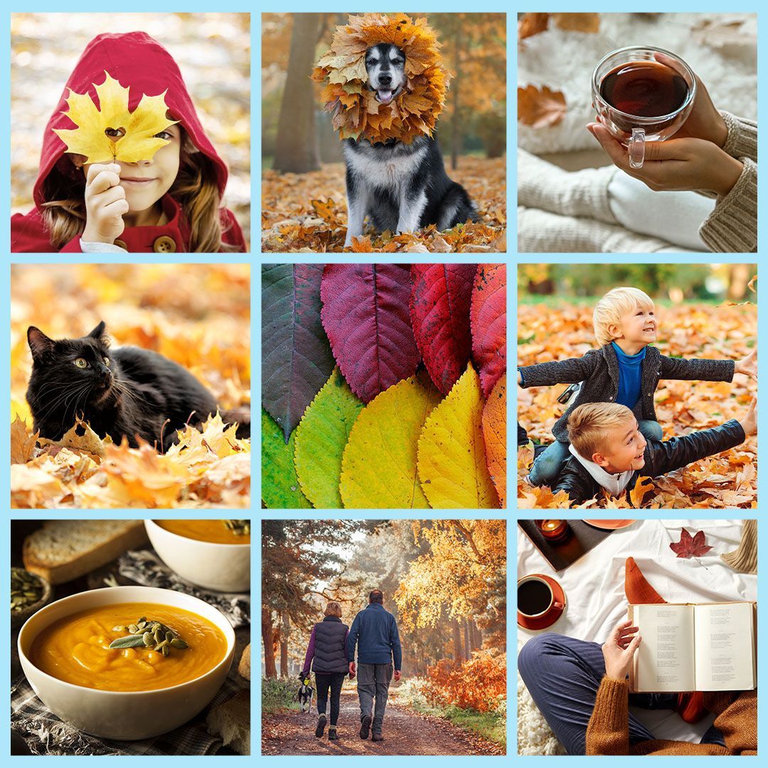Reverselifeltd's tweet photo. "It’s the first day of Autumn! A time of hot chocolatey mornings, and toasty marshmallow evenings, and, best of all, leaping into leaves!" Wise words as spoken by Winnie the Pooh! What does Autumn mean to you? Drop a comment below 
#autumnvibes #equinox #seasons #spookyseason https://t.co/uAo4Woy7T4