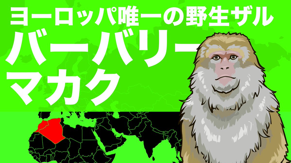 猿 Com 肉食動物 Com Dobu2zukan Twitter 猿 Com 肉食動物 Com Dobu2zukan Twitter