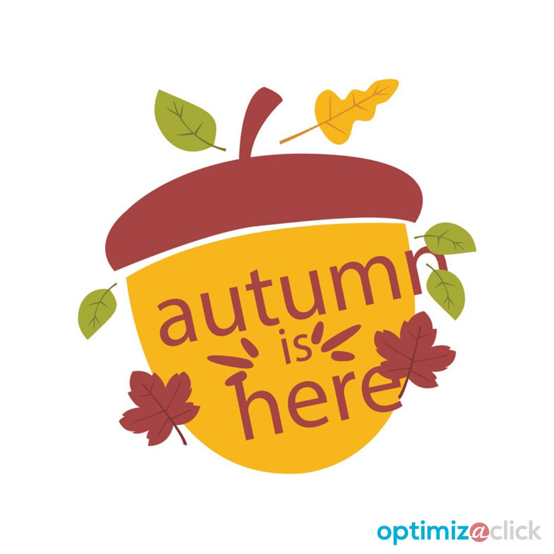 OptimizaClick tweet media